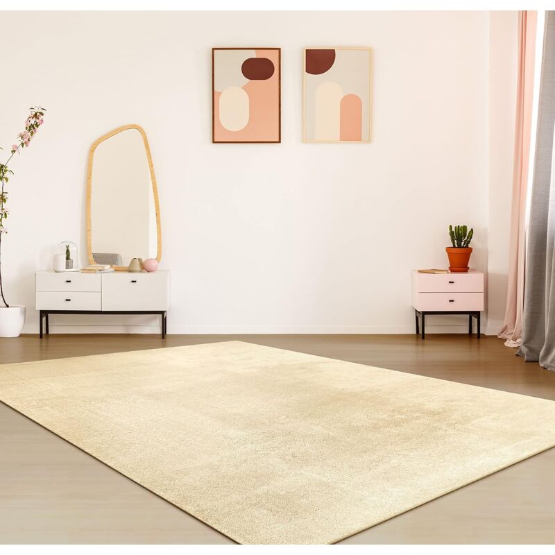 Washable Plain Living ROom Rug Short Pile Soft, Size:120X200 Cm, Color:Beige