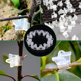 Gardening Grafting Clips 100 pcs Plastic Grafting Support Garden Clip Vegetable Vine Tomato Fruit Trees Mini Gardening - Top-Down View