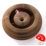 Magic Organ Interactive Scratching Toy - The Ultimate Interactive Mental And Physical Exercise For Indoor Cats