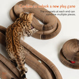 Magic Organ Interactive Scratching Toy - The Ultimate Interactive Mental And Physical Exercise For Indoor Cats