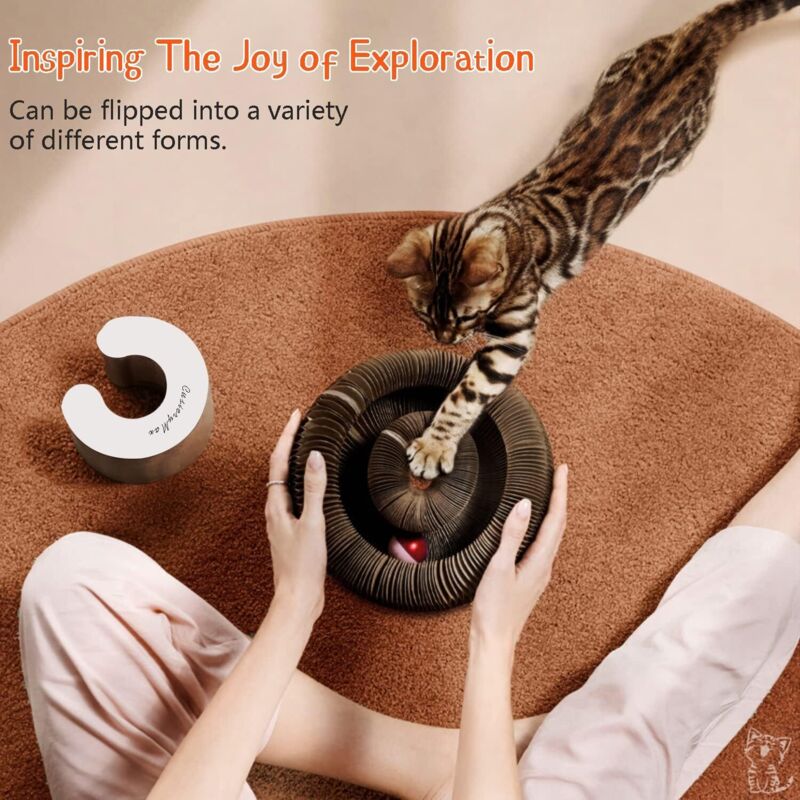 Magic Organ Interactive Scratching Toy - The Ultimate Interactive Mental And Physical Exercise For Indoor Cats
