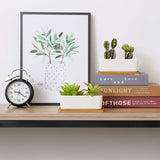 17Cm Ceramic Succulent Pot With Bamboo Tray White 2 pcs Set, Cactus Planter Cache Pot Jardinière Container Gift For - Front View
