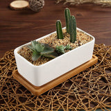 17Cm Ceramic Succulent Pot With Bamboo Tray White 2 pcs Set, Cactus Planter Cache Pot Jardinière Container Gift For - Side View