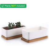 17Cm Ceramic Succulent Pot With Bamboo Tray White 2 pcs Set, Cactus Planter Cache Pot Jardinière Container Gift For - Top-Down View