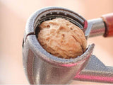 TR Goods - Steel nutcracker with wooden handle - Suitable for all nuts, including walnuts, hazelnuts and almonds - Top-Down View