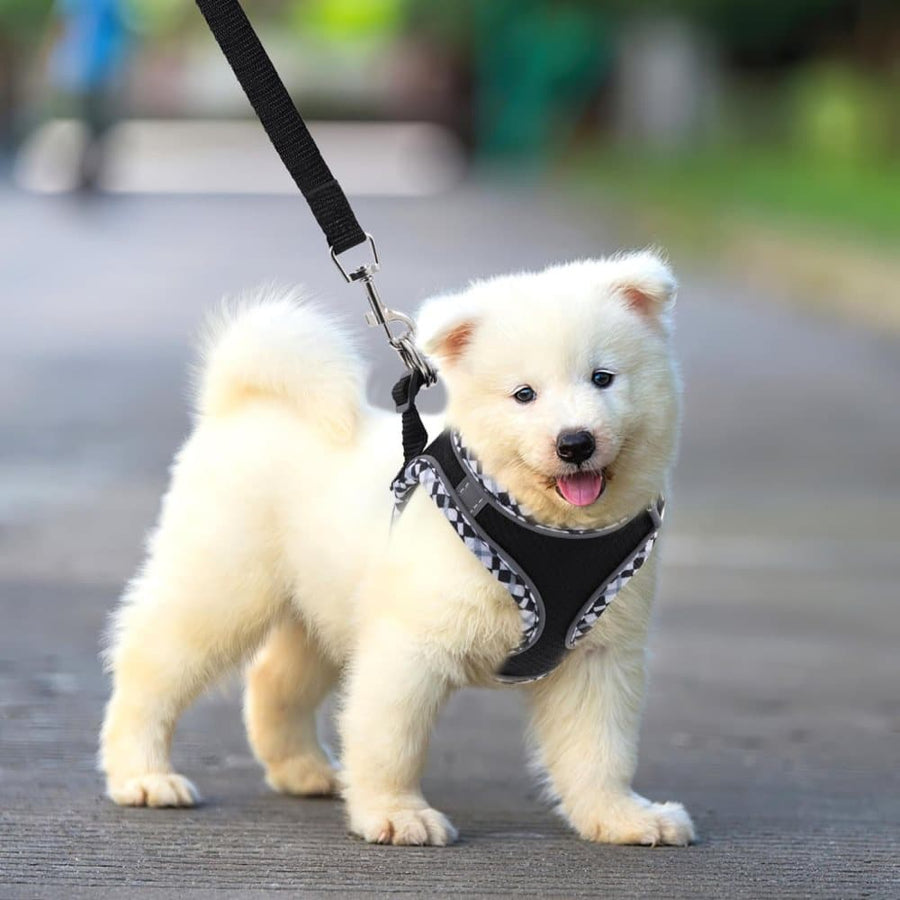 1PCS Adjustable Dog and Cat Harness with Leash Reflective Soft Secure Fit, S, Green