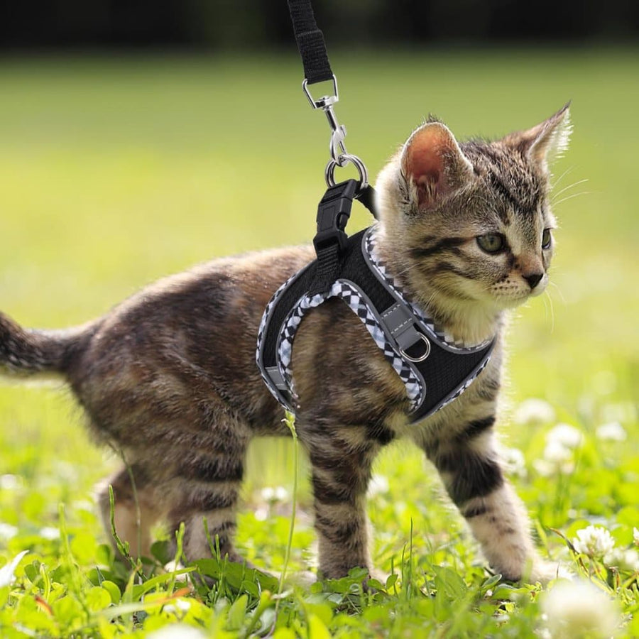 Adjustable Dog and Cat Harness with Leash, Reflective Soft Secure Fit, XS Pink