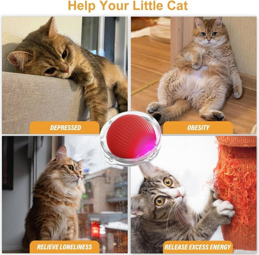 Interactive Cat Toy with Hideaway Cover and Self-Rolling Ball, USB Charging, Colorful, 1 Piece