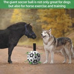 Durable Interactive Dog Ball with Air Needle, 15cm
