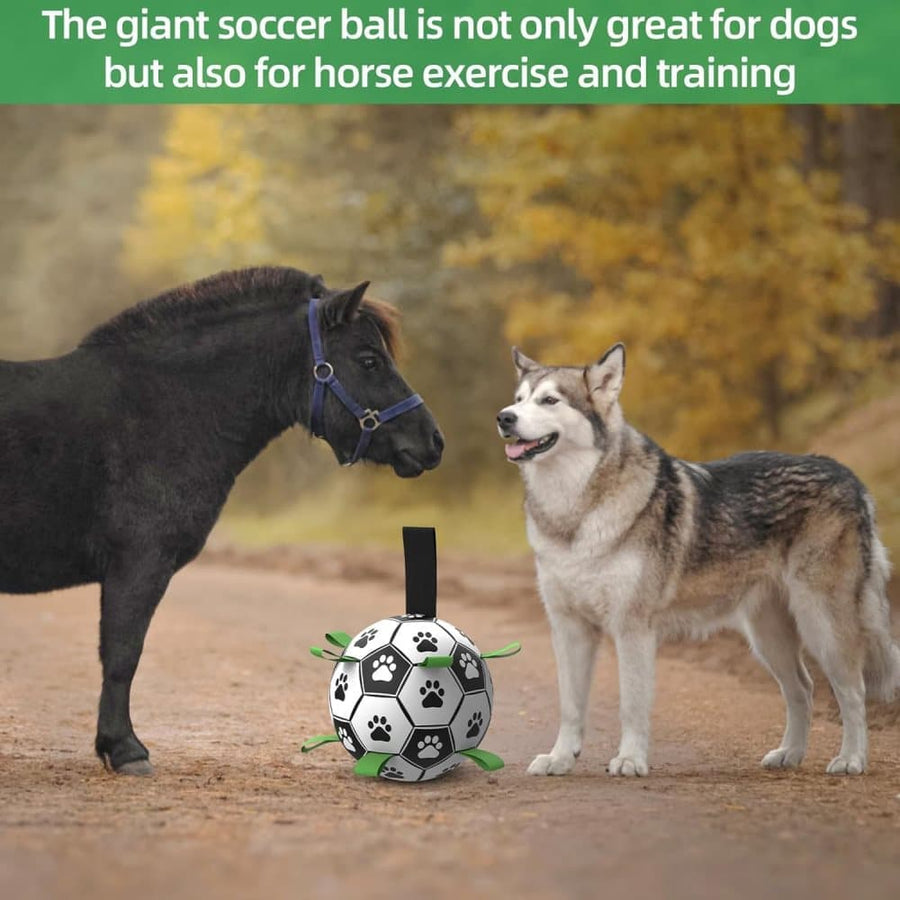 Durable Interactive Dog Ball with Air Needle, 15cm