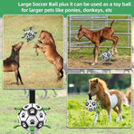 Durable Interactive Dog Ball with Air Needle, 15cm
