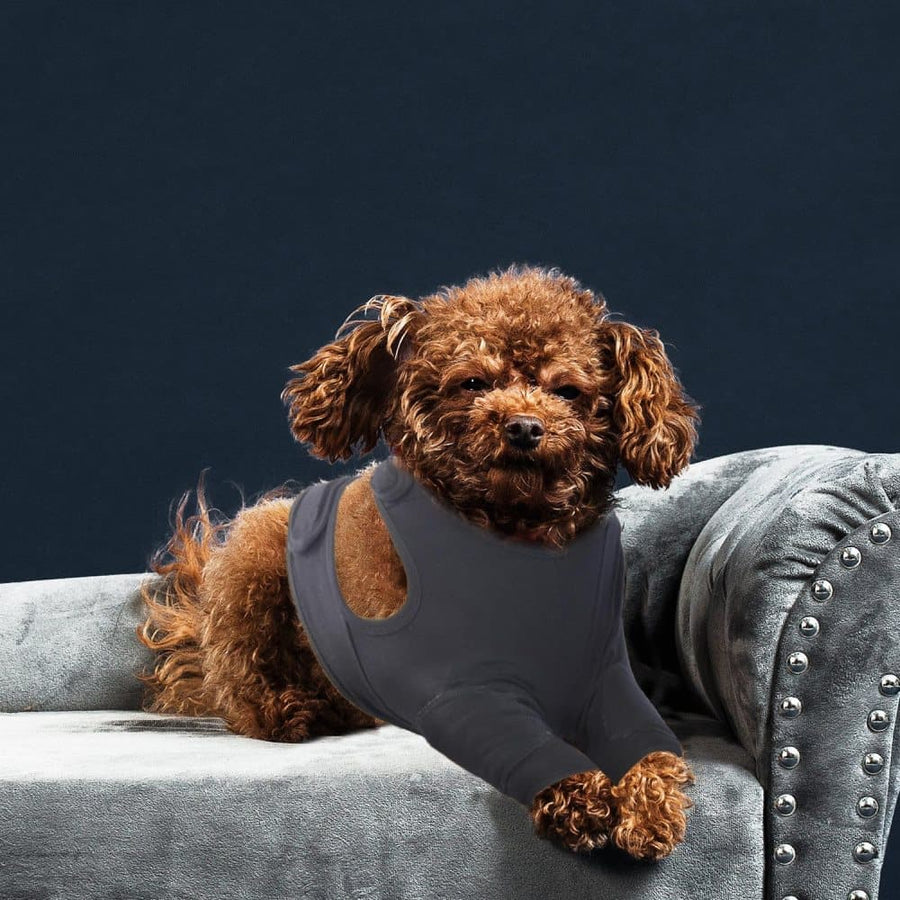 Breathable Elastic Dog Elbow Protector for Post-Surgery, Prevents Licking and Biting, M, Black
