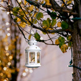 Hanging Multi-functional S Hook (Metal) Size: 305mm Color: Black for Birds (1pc) - Top-Down View