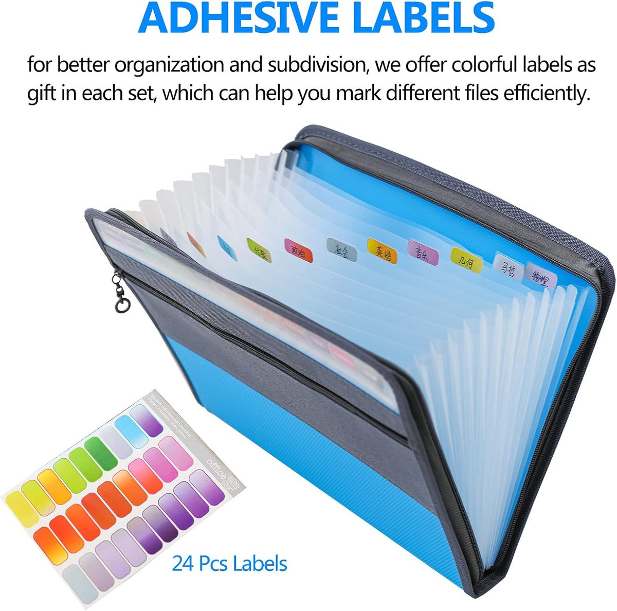 Project Folder - A4 - Foldable File Folder with Tabs - 13 Compartments - Storage Folder/Sorting Folder - Compartment Folder - Durable Plastic Document Folder - Writing Folder with Zipper - Conference Folder - Work Folder - Document Folder - Blue - Portabl