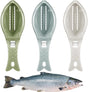 Fish Scraper - Professional Scale Remover - Fast and Efficient - Portable Scale Removal - Universal Fish Descaler - Fish Descaler - Fish Scraper - with Handy Collection Tray - for Kitchen / Restaurant - Green - Piece