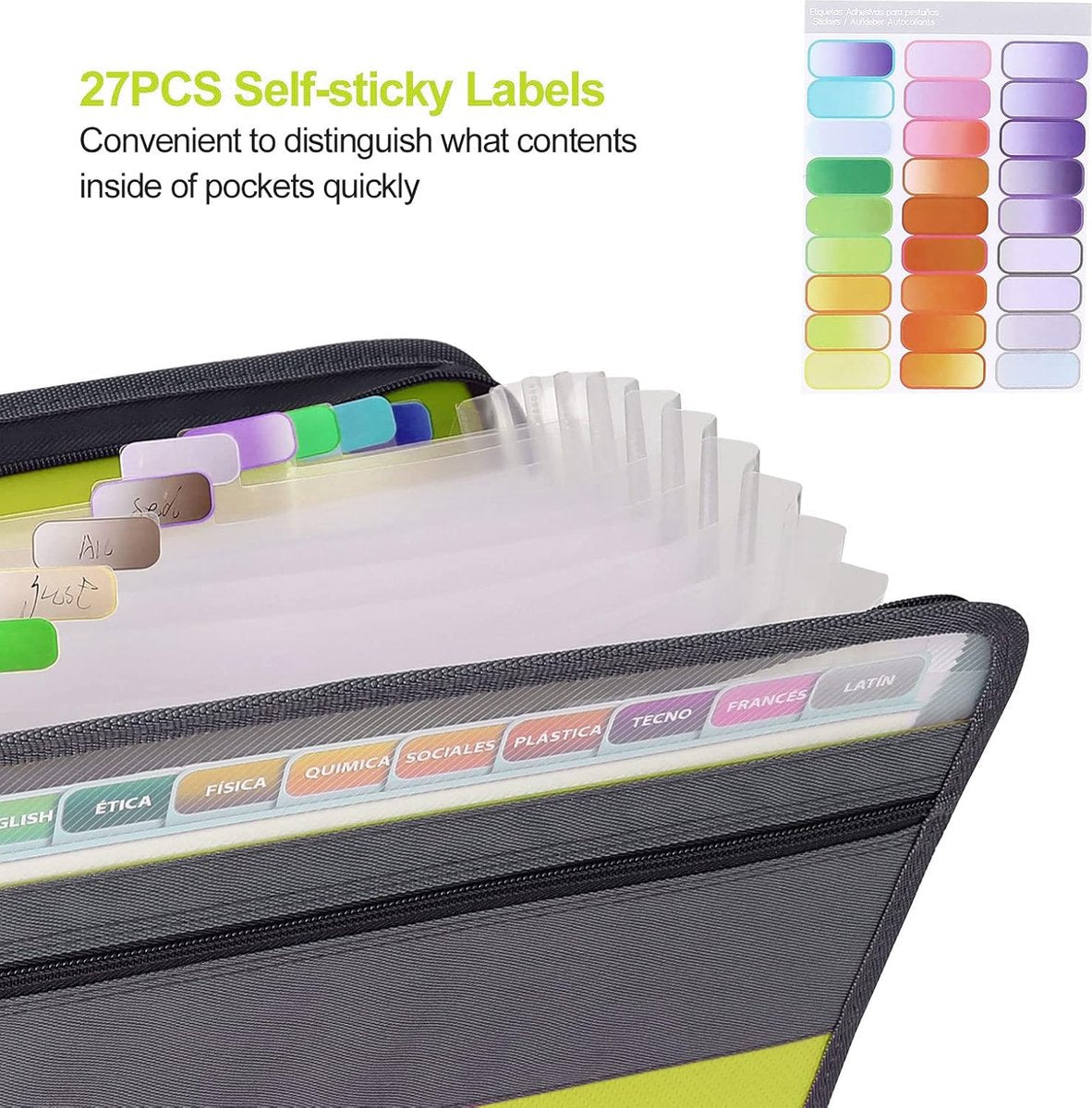 Project Folder - A4 - Foldable File Folder with Tabs - 13 Compartments - Storage Folder/Sorting Folder - Compartment Folder - Durable Plastic Document Folder - Writing Folder with Zipper - Conference Folder - Work Folder - Document Folder - Green - Portab