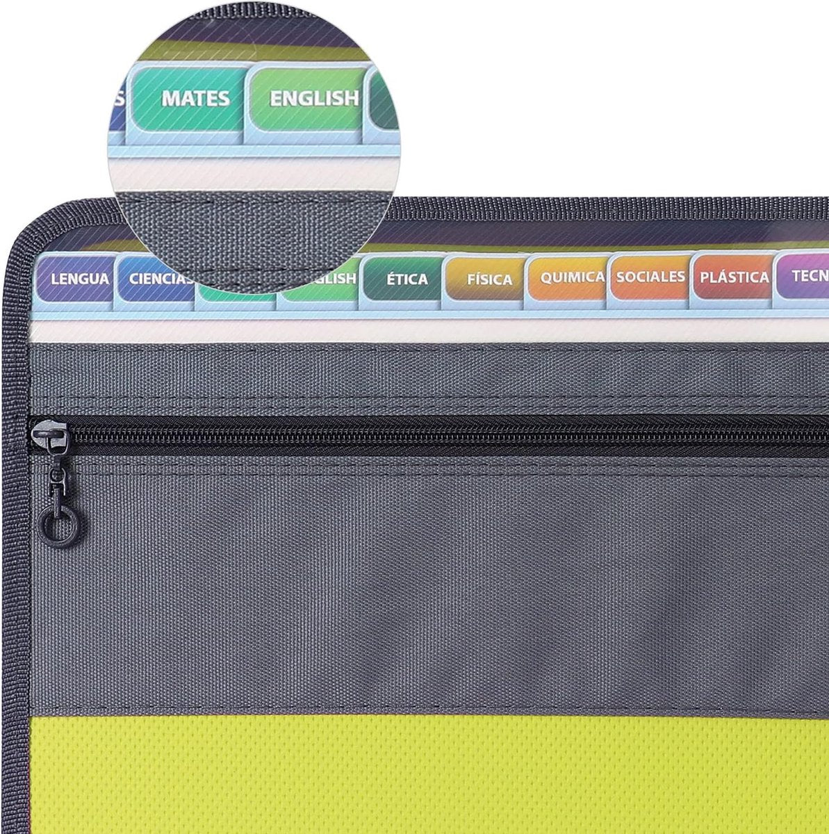 Project Folder - A4 - Foldable File Folder with Tabs - 13 Compartments - Storage Folder/Sorting Folder - Compartment Folder - Durable Plastic Document Folder - Writing Folder with Zipper - Conference Folder - Work Folder - Document Folder - Green - Portab