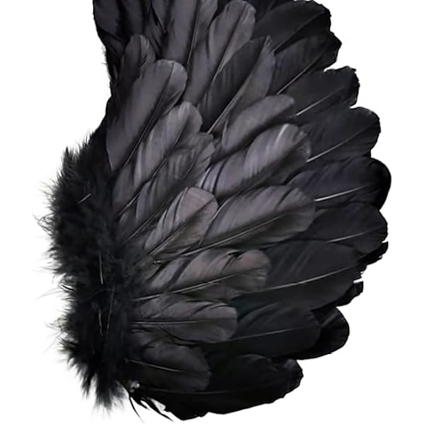Halloween Devil Feather Wings for Kids Black Costume Accessories