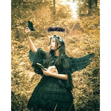 Halloween Devil Feather Wings for Kids Black Costume Accessories - Top-Down View