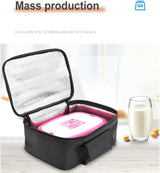 12V Car Insulated Bag, Electric Picnic Bag, Lunch Bag, Foldable Bag for Carrying Picnic Food - 29cm x 21cm x 11cm - Front View