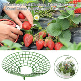 Strawberry Plant Support Cages, 10 pcs Climbing Rack Frame Holder for Balcony Garden Planting, Fruit Support - Front View