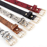 Women Fashion Snakeskin Print PU Leather Dress & Jeans Waist Belt for Girls and Ladies Gold Color Pin Buckle - Front View