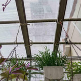 YAEGER White Shade Cloth 55% Garden Shade Net for Greenhouse Plants 10x10ft 10x20ft 13x23ft Outdoor Shade Garden Sun Shade Mesh Screen Cover for Patio Balcony Chicken Coops(10x10ft) - Side View
