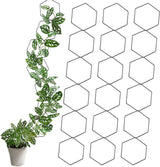 10/18 Pcs Metal Chain Trellis for Climbing Plants with Wall Hooks Wall Hanging Trellis Plant Vine Support for Indoor Outdoor Garden Pothos Ivy (90in)