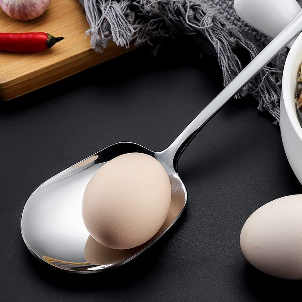 Stainless Steel Serving Spoon for Hotel Restaurant Kitchen Large Size