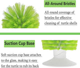 Turtle Shell Brush - Turtle Shell Brush - Turtle Shell Exfoliating Brush - With Suction Cup - Turtle Shell Cleaning Brush - Front View