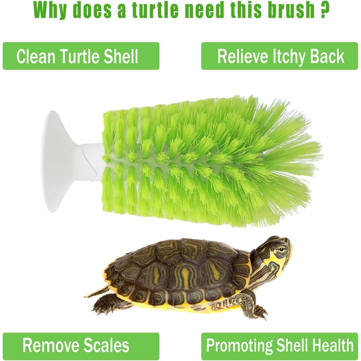 Turtle Shell Brush - Turtle Shell Brush - Turtle Shell Exfoliating Brush - With Suction Cup - Turtle Shell Cleaning Brush