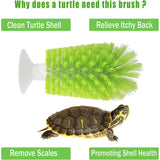 Turtle Shell Brush - Turtle Shell Brush - Turtle Shell Exfoliating Brush - With Suction Cup - Turtle Shell Cleaning Brush - Side View