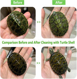 Turtle Shell Brush - Turtle Shell Brush - Turtle Shell Exfoliating Brush - With Suction Cup - Turtle Shell Cleaning Brush - Top-Down View