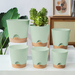 Planters - Self-watering succulents - Set of 6 tabletop planters - Minimalist design