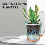 Planters - Self-watering succulents - Set of 6 tabletop planters - Minimalist design