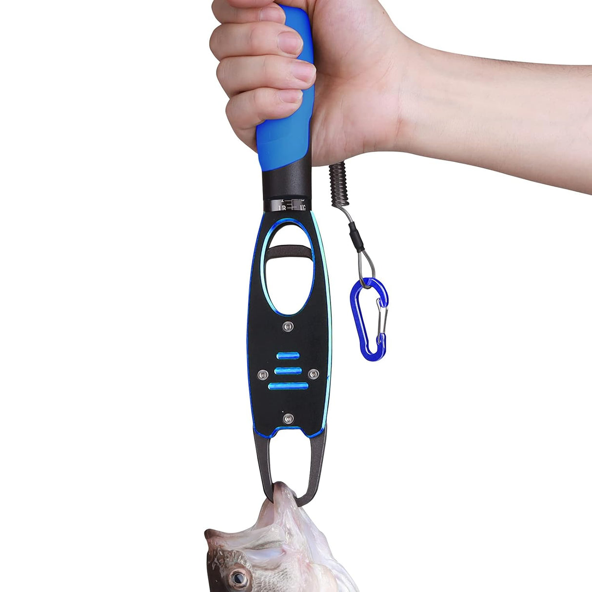 Fish Grabber with Scale - Non-Slip Handle - One-Handed Use - 360° Rotatable - Includes Wrist Strap