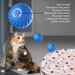 Play mat - Educational cat toy - USB automatic cat toy with three settings - 1 item