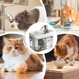Pet Drinking Fountain - Large Capacity - Removable - 1pc
