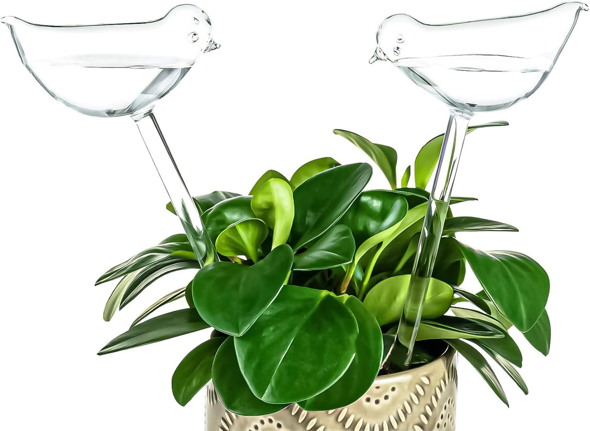 Self-watering globes, bird-shaped plant watering device, hand-blown, clear glass globe for indoor and outdoor plants, pack of 2