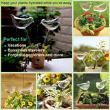 Self-watering globes, bird-shaped plant watering device, hand-blown, clear glass globe for indoor and outdoor plants, pack of 2