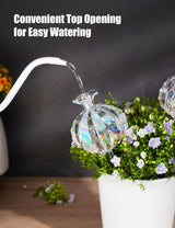 Large Plant Watering Balls (2-Pack), Iridescent Glass Cactus Self-Watering Globe, Glass Watering Device for Potted Plants - 4.7 oz/140 ml Capacity, Automatic Irrigation System, Cute Garden Gift - Top-Down View