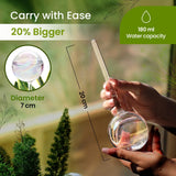 Iridescent self-watering balls, glass rainbow plant watering balls, self-watering planter insert, automatic indoor plant watering, plant watering devices, plant watering balls, watering ball - Front View
