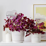 Self-watering plant watering balls, hand-blown glass plant watering balls, watering balls for indoor and outdoor plants, 2 hearts - Front View