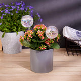 Glass Self-Watering Plant Balls, 2-Pack, Pearlescent, Clear Iridescent, Plant Watering Device, Diamond Pattern, Self-Watering Balls, Planter Insert, Decorative Holiday Watering Spikes - Front View