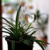 snail-shaped hand-blown clear glass self-watering sustainable mini transparent plant watering pot - Front View