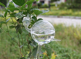 snail-shaped hand-blown clear glass self-watering sustainable mini transparent plant watering pot - Side View
