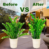 Plant Support Poles, 6-Pack Metal Peony Cages and Supports, Plant Support Cage for Garden Poles, Large Plant Support Ring for Outdoor and Indoor Use, Snake Plant, Peony, Flower Tendril (25cm W x 40cm H) - 45-Degree Angle