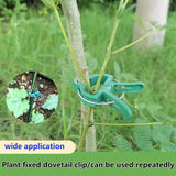40 pieces plant clips, garden clips, plant clips, reusable tomato clips, multifunctional rattan plant clips, rose clips, sturdy cucumber clips, orchid clips, plant support, adjustable clips, green (20 large and 20 small) - Top-Down View