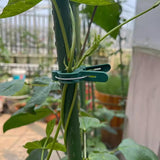 40 pieces plant clips, garden clips, plant clips, reusable tomato clips, multifunctional rattan plant clips, rose clips, sturdy cucumber clips, orchid clips, plant support, adjustable clips, green (20 large and 20 small) - 45-Degree Angle