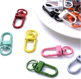 Colorful Key Ring with Lock - Metal Carabiner - Keyring - Car DIY Jewelry Accessories - Pack of 30 (Color: Random) - Front View